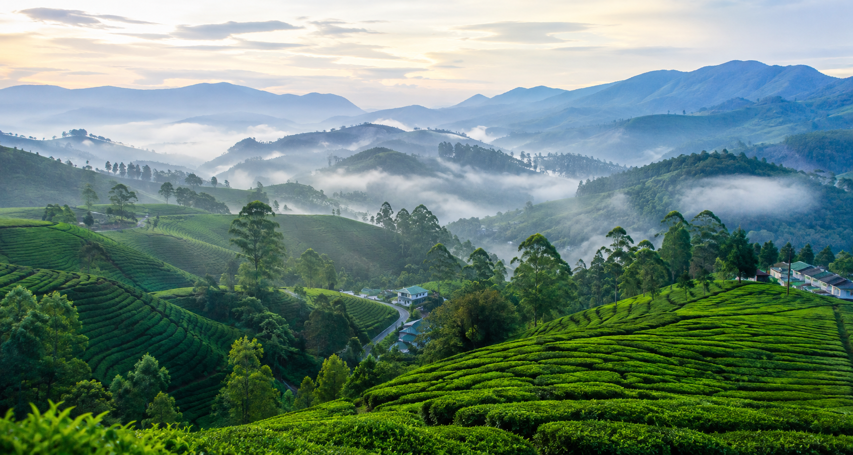 4 Days in Ooty